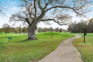 Photo 38- click for photo gallery